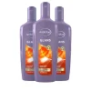 Andrélon Shampoo Glans 3 x 300 ml