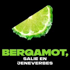 Axe Deodorant Bodyspray Aqua Bergamot 150 ml