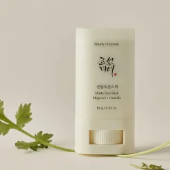 Beauty of Joseon Sun stick Mugwort + Camilia SPF50+ 18 gr