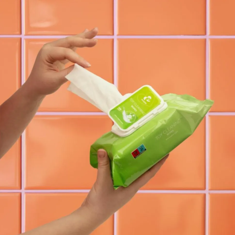 Easyglide Wipes Toy Cleaning 100 stuks