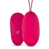 Easytoys XL Vibratie-Ei Roze met Afstandsbediening 1 set