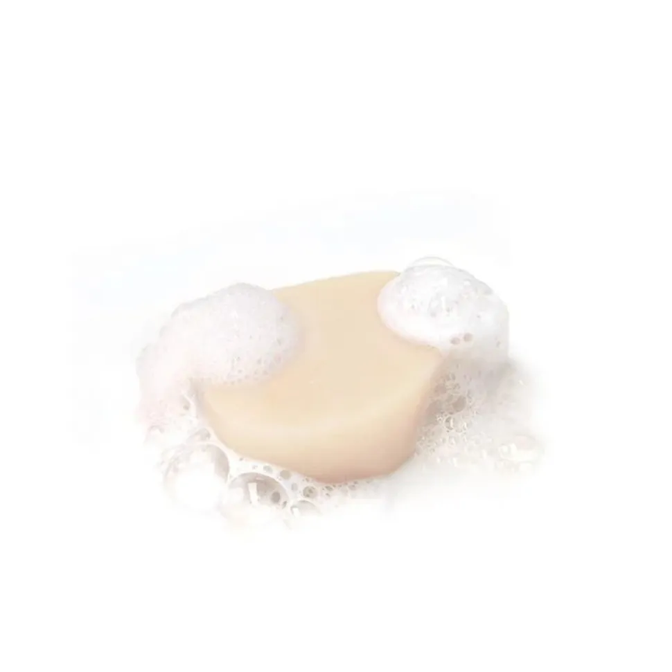 Garnier Loving Blends Honing Goud Shampoo Bar 60 gr