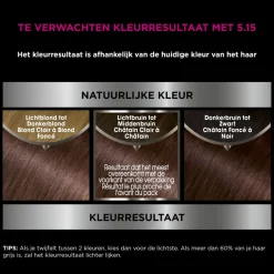 Garnier Olia Permanente Crèmekleuring 5.15 Kastanje Lichtbruin 1 set