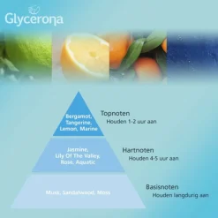 Glycerona Hygiënische Handgel Aloë Vera 100 ml