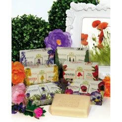 Nesti Dante Fiorentini Handzeep Cipresso 250 gr