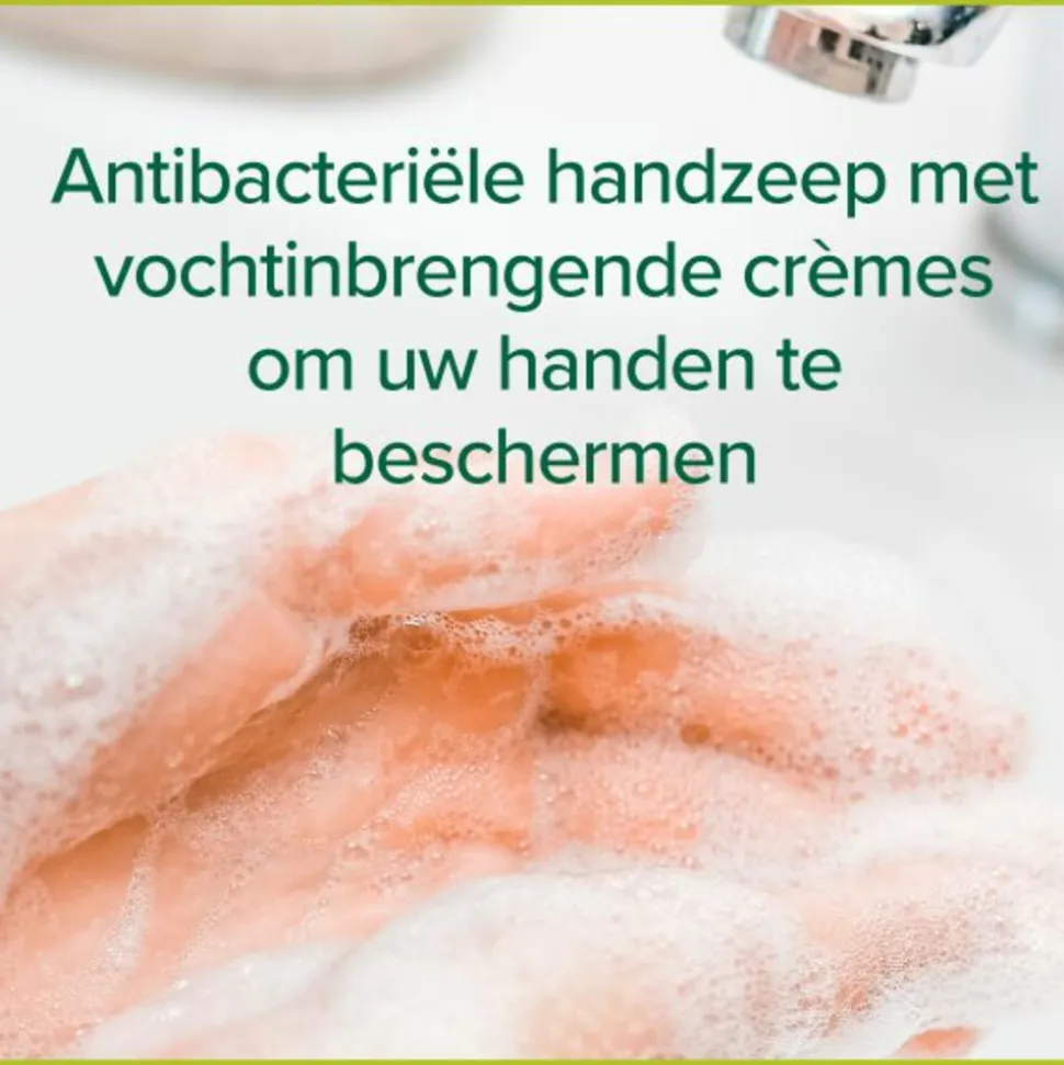 Palmolive Handzeep Hygiëne Plus Family 300 ml