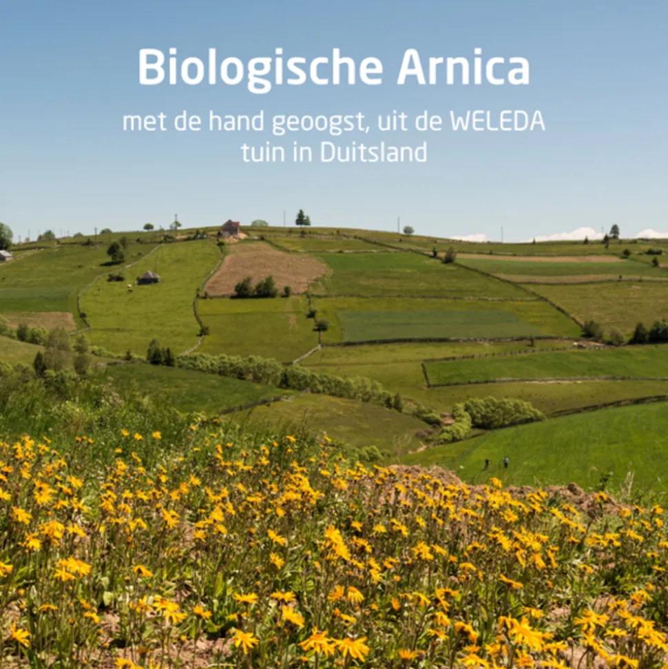 WELEDA Arnica Sport Douchegel 200 ml