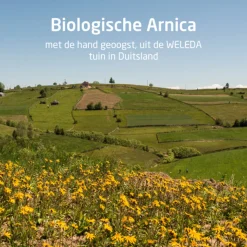 WELEDA Arnica Sport Massageolie 100 ml