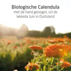WELEDA Calendula Zeep 100 gram