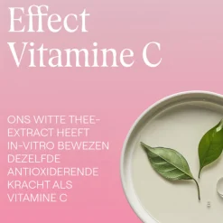WELEDA Wilde Rozen & Witte Thee Vitaliserende Dagcrème 40 ml