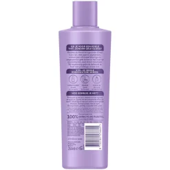 6x Andrélon Shampoo Zilver Care 250 ml