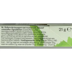 24x True Gum Mint 21 gr